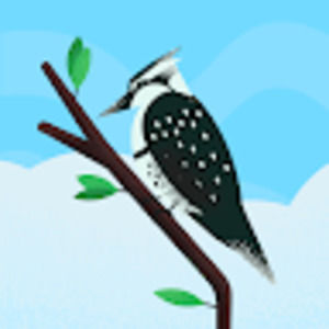 Meet your Posher, Elias